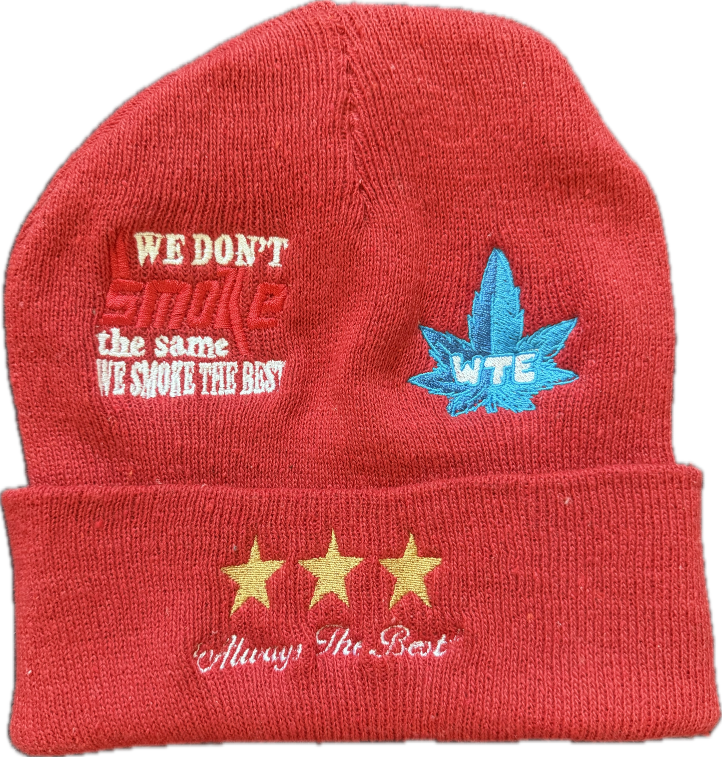 WTE BEANIE Multi-Logo