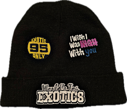 WTE BEANIE Multi-Logo