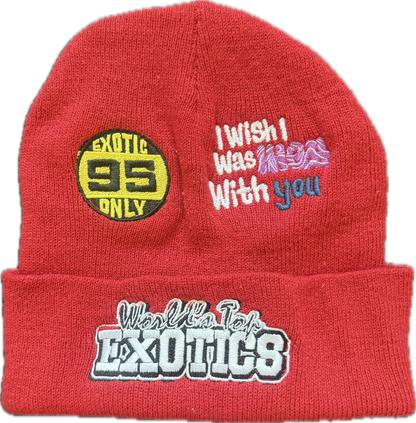 WTE BEANIE Multi-Logo