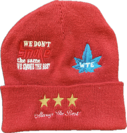 WTE BEANIE Multi-Logo