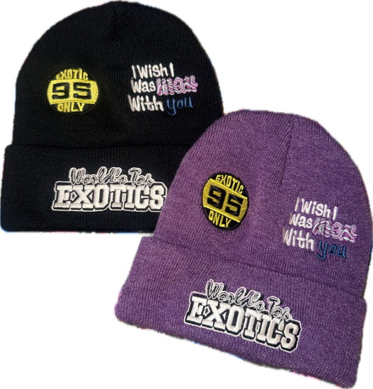 WTE BEANIE Multi-Logo