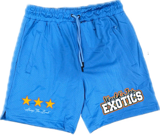 *NEW* WTE MESH SHORTS